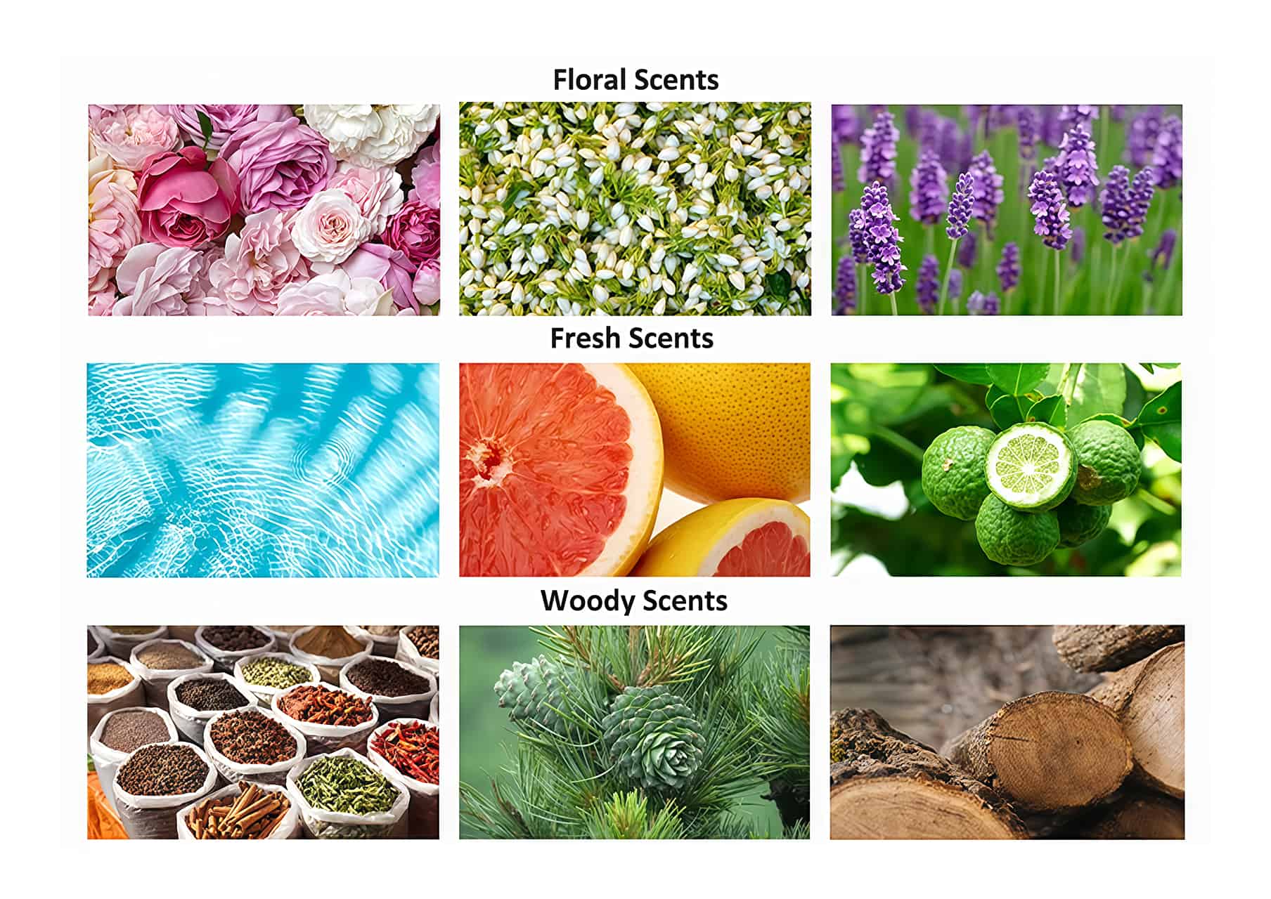 Choisissez un parfum