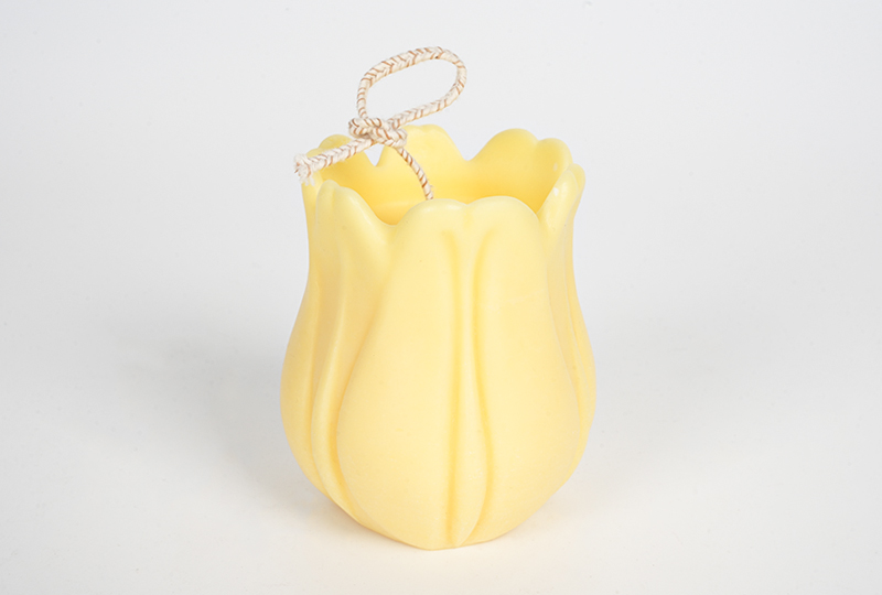 Bougie d'art suspendue Tulip Bloom