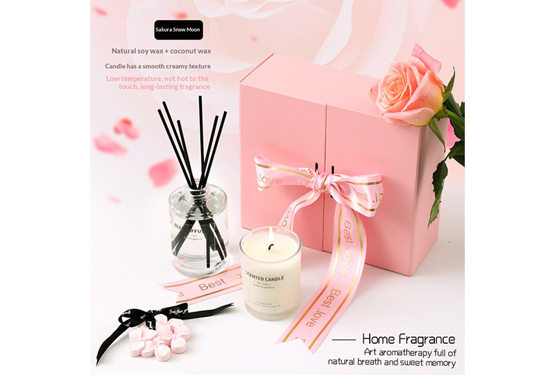 Ensemble de bougies et bougies diffuseur à double porte rose blush