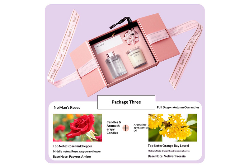 Ensemble de bougies et bougies diffuseur à double porte rose blush