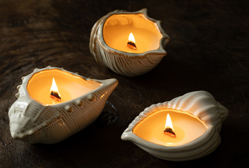 Photophore trio de coquillages en céramique