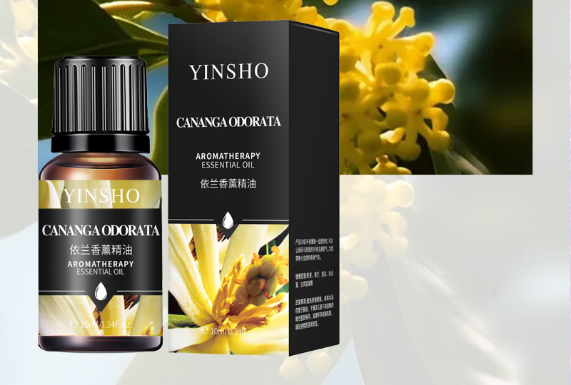 Ensemble d'huiles essentielles d'aromathérapie multi-parfums — Flacons de 10 ml