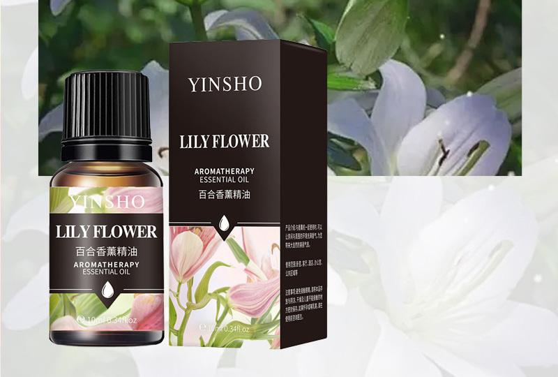 Ensemble d'huiles essentielles d'aromathérapie multi-parfums — Flacons de 10 ml