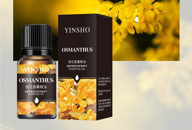 Ensemble d'huiles essentielles d'aromathérapie multi-parfums — Flacons de 10 ml